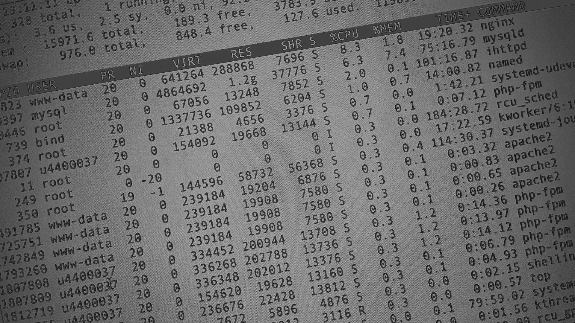 Настройка сервера в Сухиничах